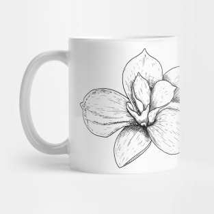 Magnolia Mug